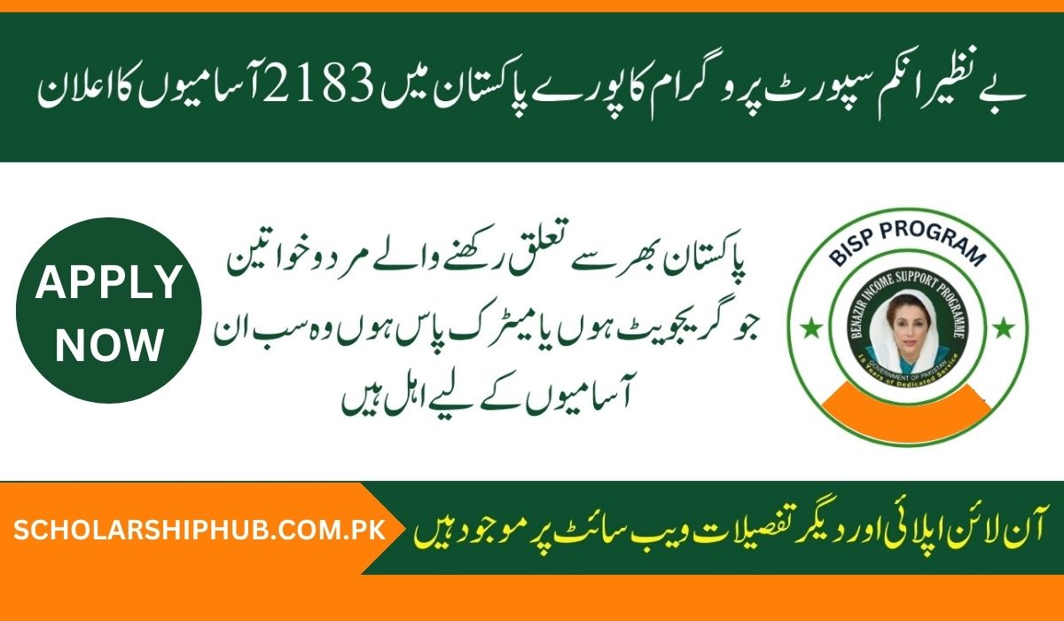 BISP Jobs 2025