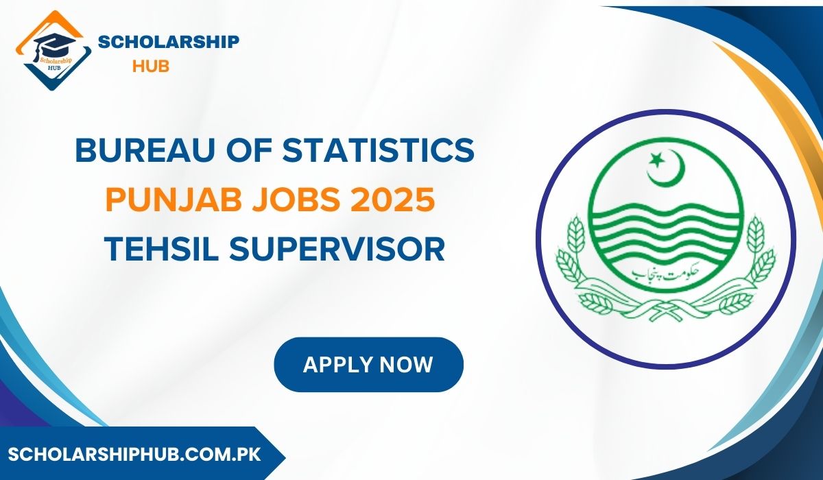 Bureau of Statistics Punjab Jobs 2025 Tehsil Supervisor